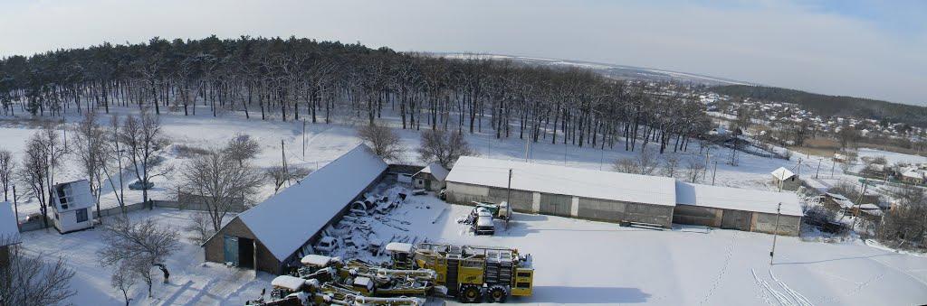 Нова Осота з panoramio.com - Новая Осота