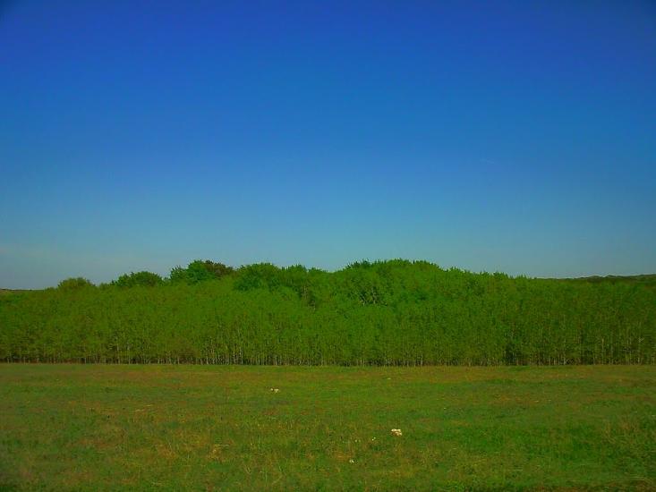 Дружне з panoramio.com - Дружное