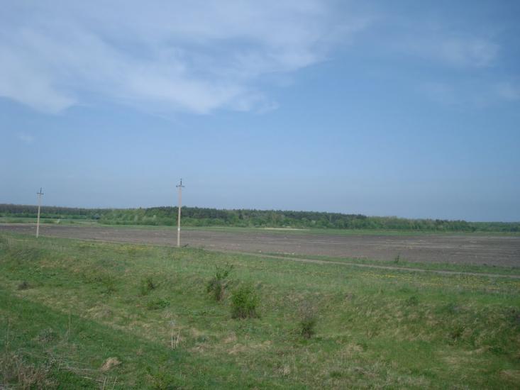 Вербівці з panoramio.com - Вербовцы