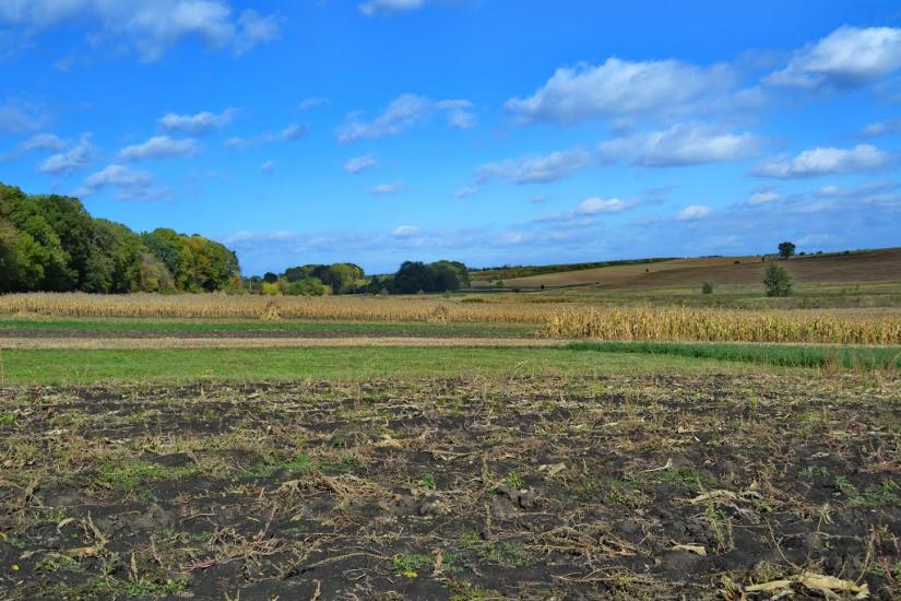 Подвір'ївка з panoramio.com - Подворьевка
