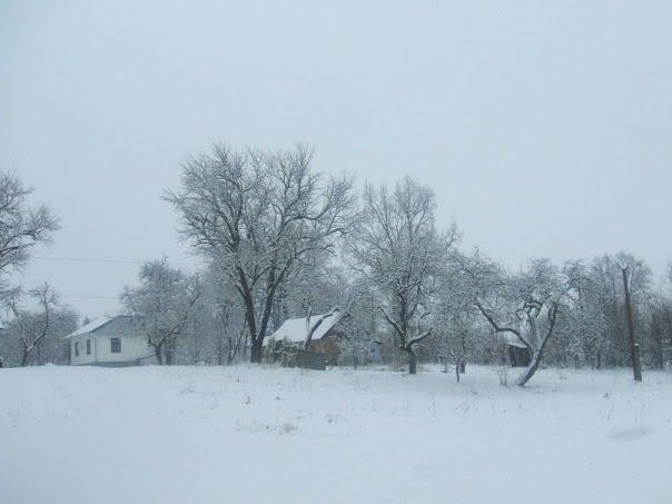 Тернавка з panoramio.com - Тернавка