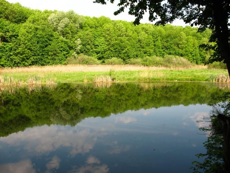 Старий Мерчик з panoramio.com - Старий Мерчик