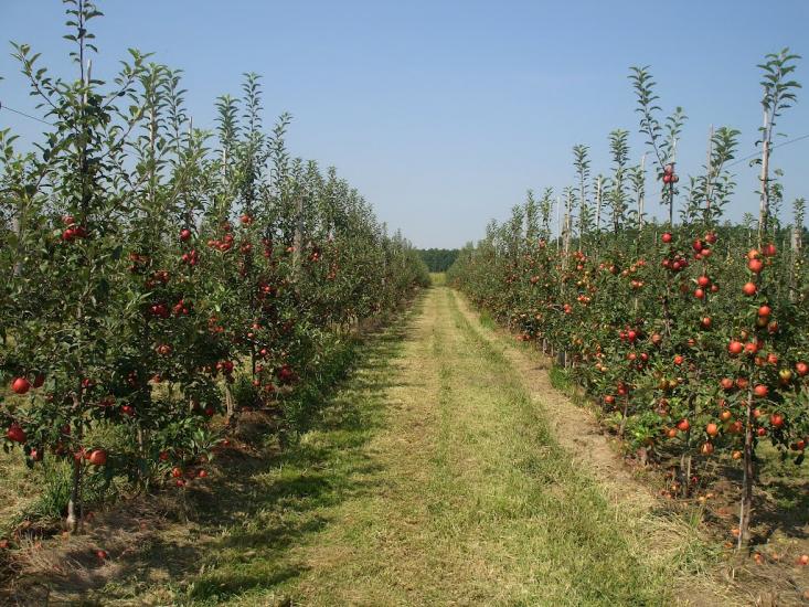 Мала Бийгань з panoramio.com - Mala Byygan