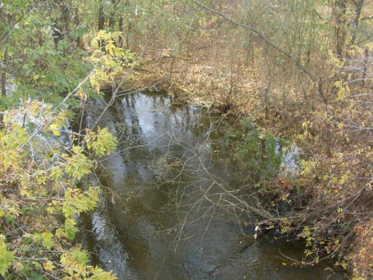 Куна з panoramio.com - Куна