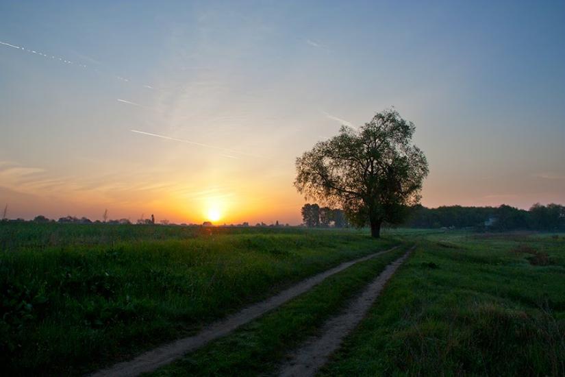 Кривуші з panoramio.com - Кривуши