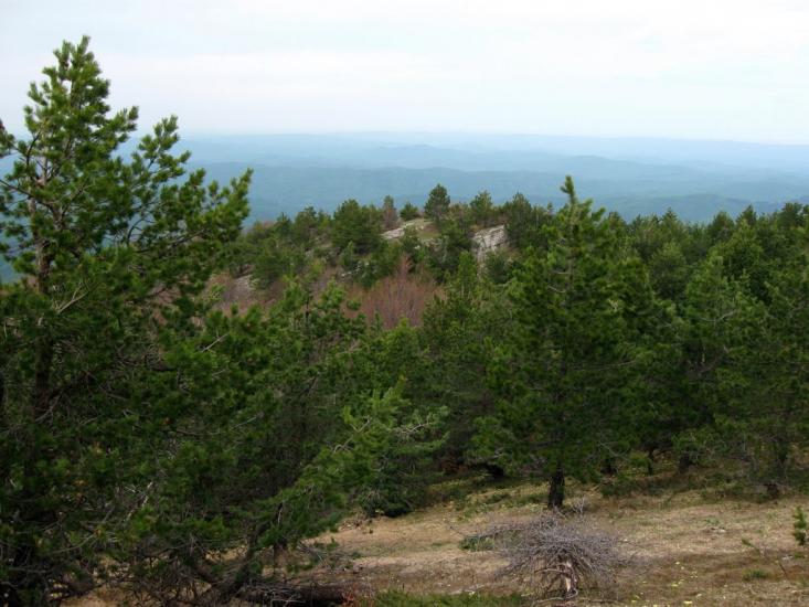 Відрадне з panoramio.com - Отрадное