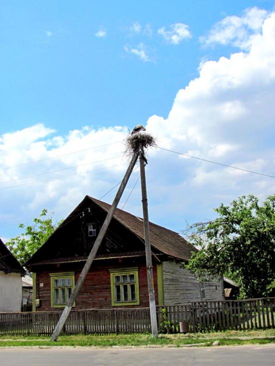 Дубровиця з panoramio.com - Дубровица