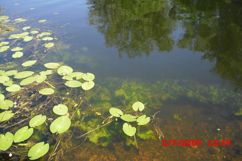 Кобеляки з panoramio.com - Кобеляки