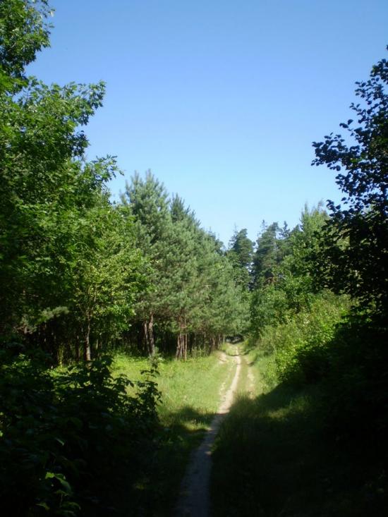 Селище з panoramio.com - Селище