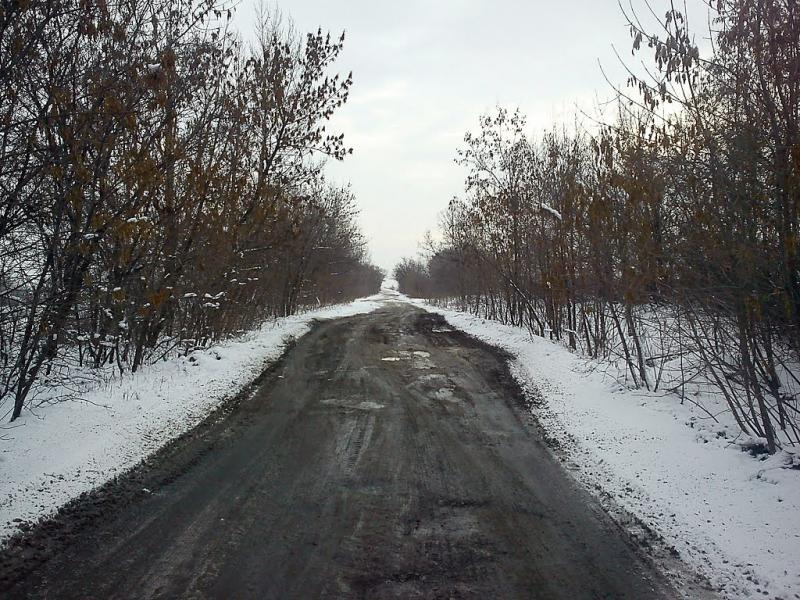 Березівське з panoramio.com - Березовское