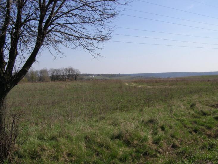 Калинівка з panoramio.com - Калиновка