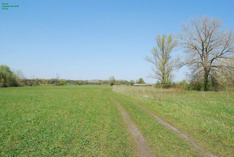 Плавні з panoramio.com - Плавни