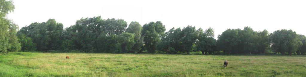 Врубівський з panoramio.com - Vrubivskyy