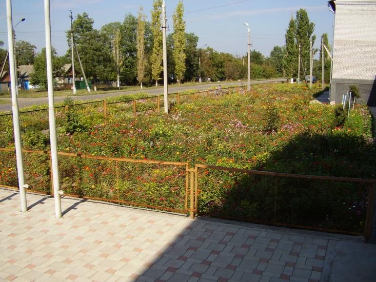 Казанка з panoramio.com - Казанка