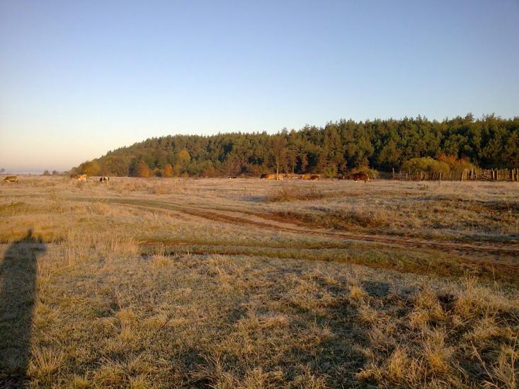 Камінь з panoramio.com - Камінь
