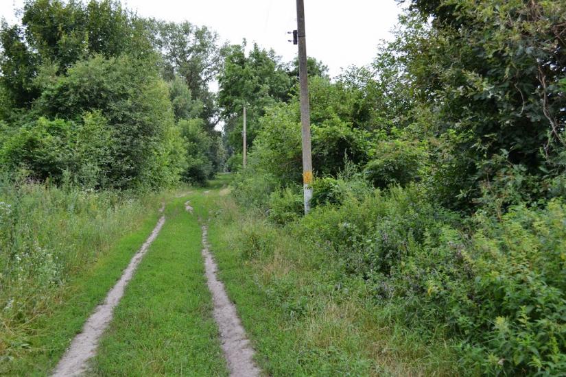 Велика Дівиця з panoramio.com - Велика Дівиця