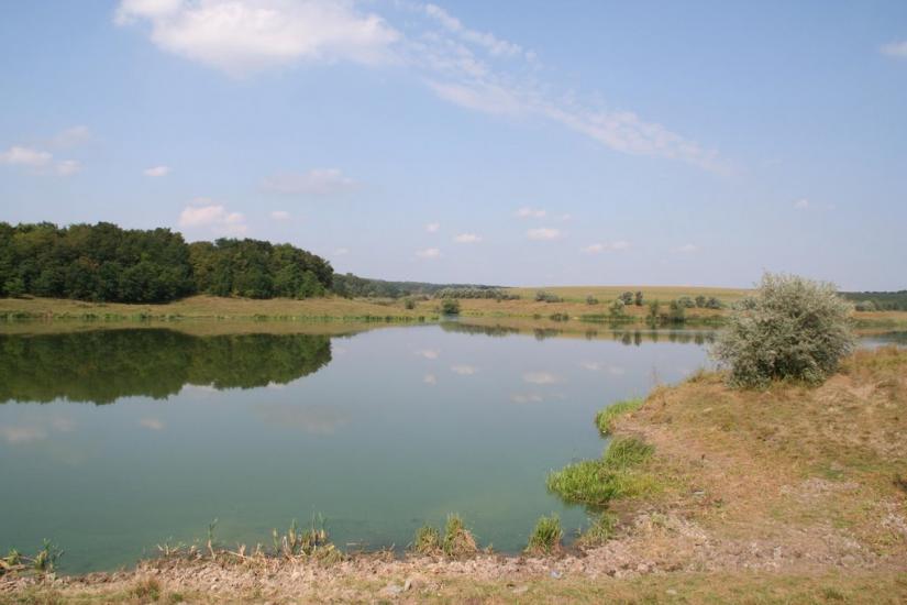 Грабовське з panoramio.com - Грабовское