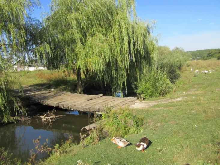 Кутківці з panoramio.com - Кутковцы