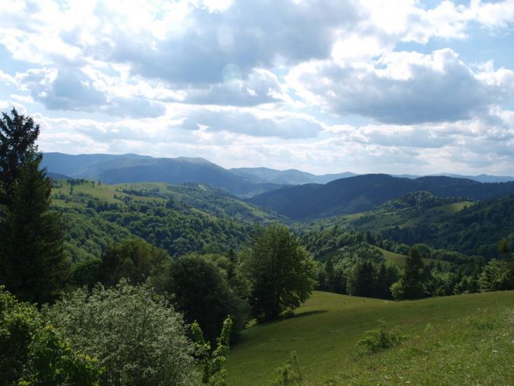 Стригальня з panoramio.com - Стригальняя