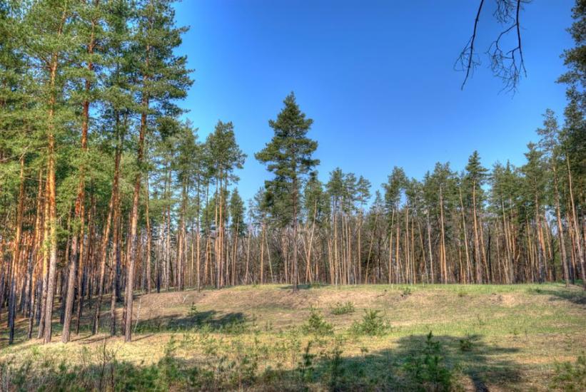 Старий Караван з panoramio.com - Staryy Karavan