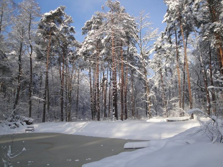 Буча з panoramio.com - Буча