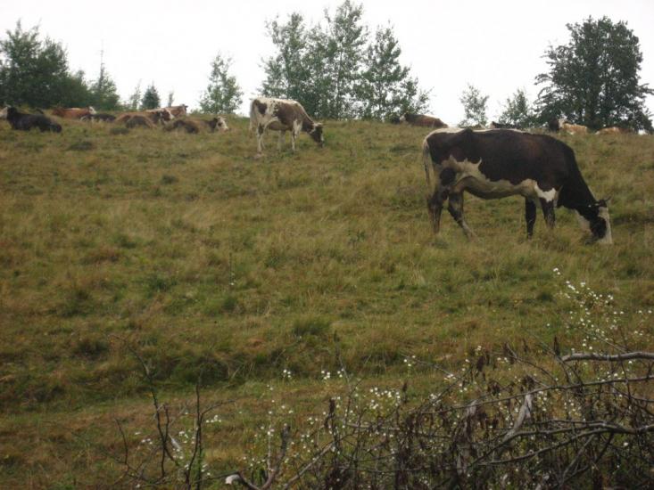 Пилипи з panoramio.com - Пилипи