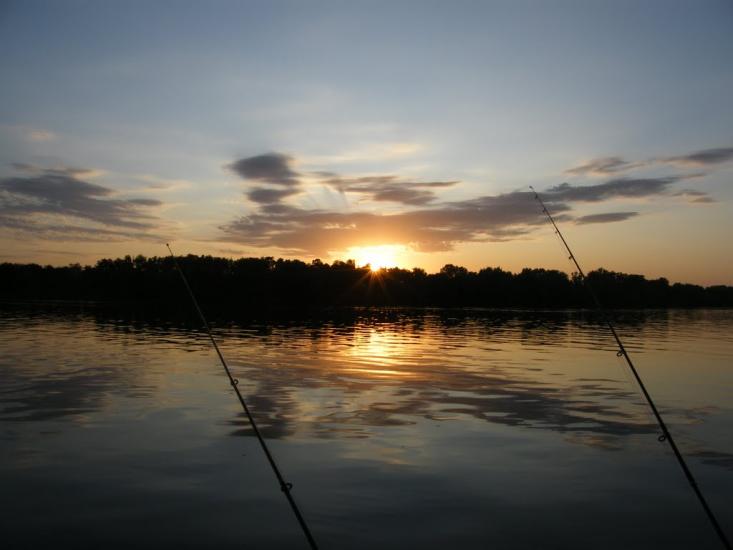 Прохорівка з panoramio.com - Прохорівка