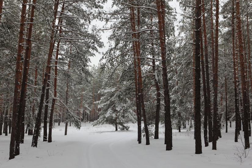 Студенок з panoramio.com - Студенок
