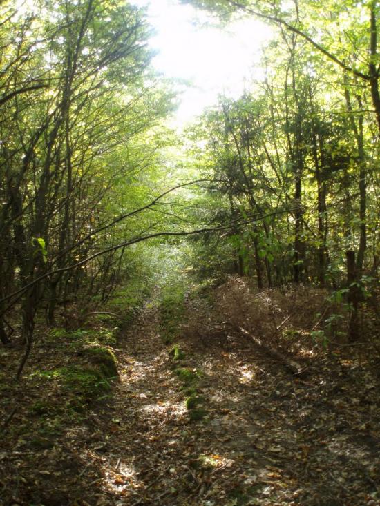 Набережне з panoramio.com - Набережное