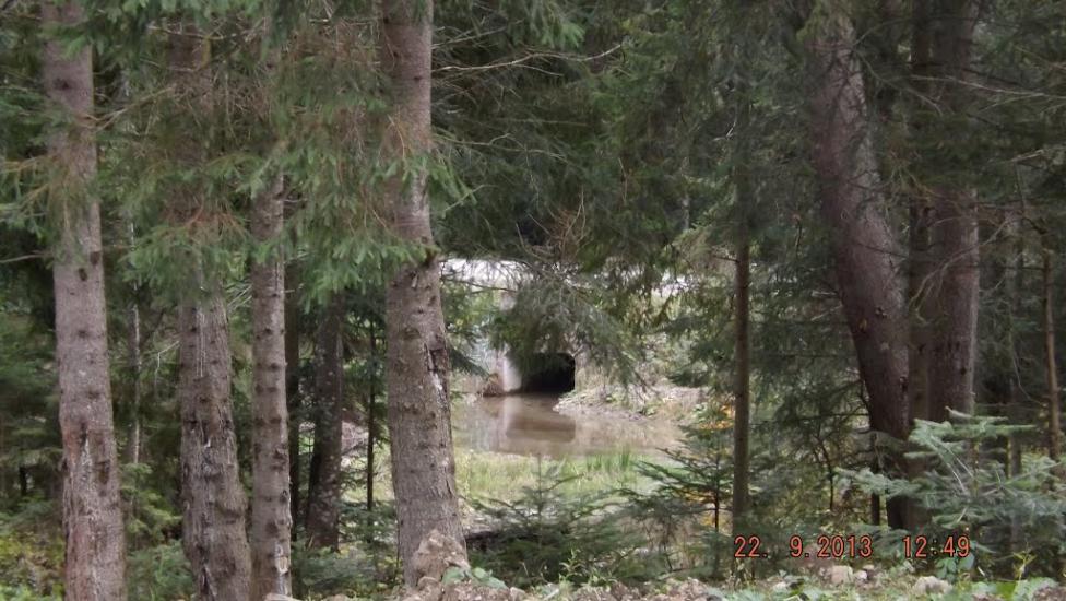 Поляниця з panoramio.com - Поляница