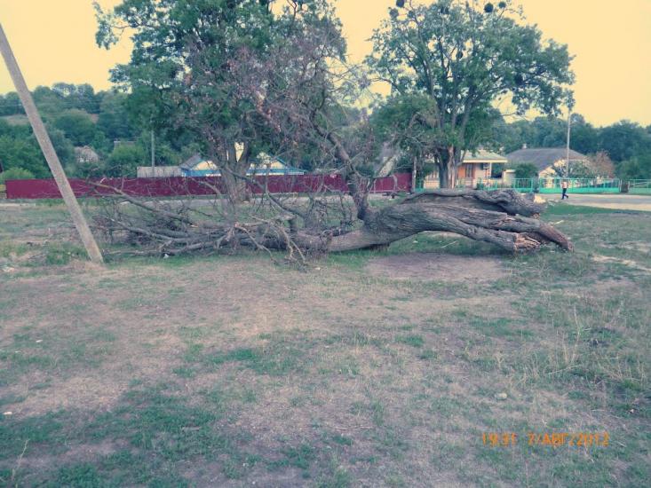 Вербова з panoramio.com - Вербовая