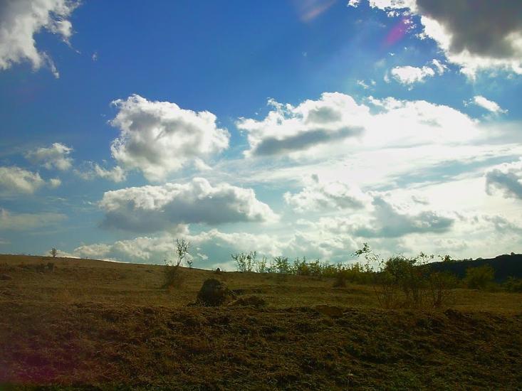Рєпіне з panoramio.com - Рєпіне