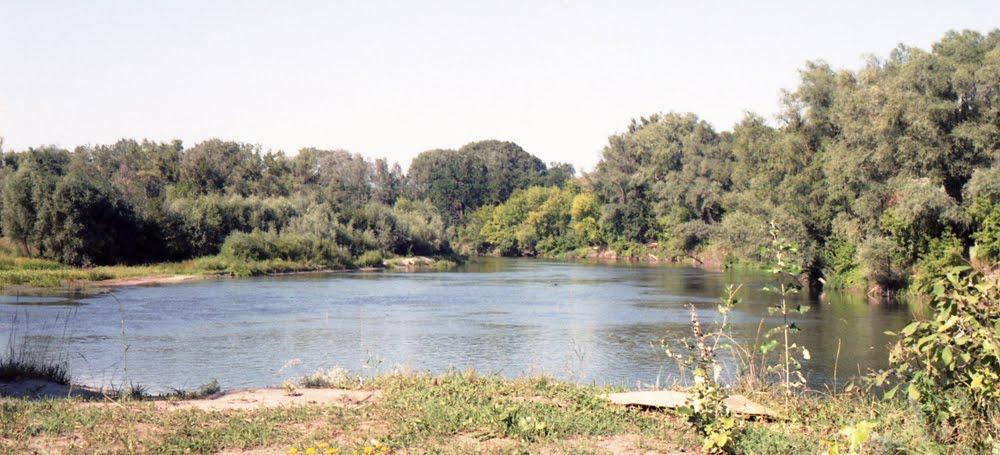 Пасіка з panoramio.com - Пасека