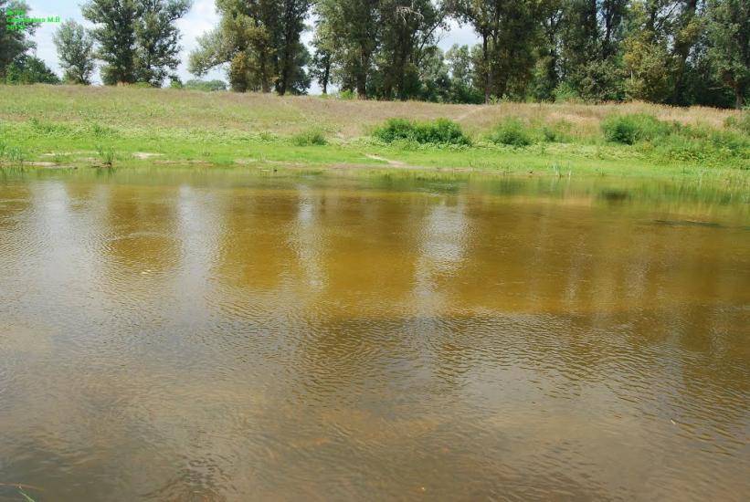 Кардашівка з panoramio.com - Кардашовка