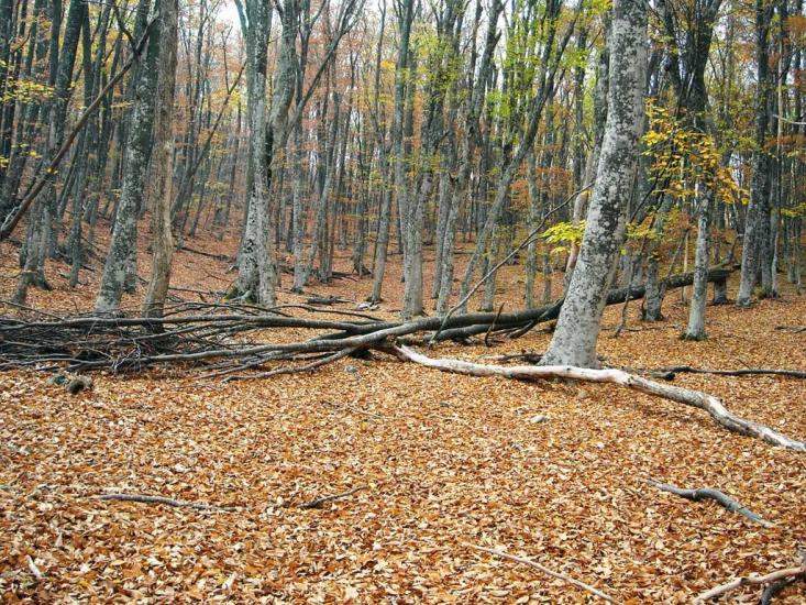 Малий Маяк з panoramio.com - Малий Маяк
