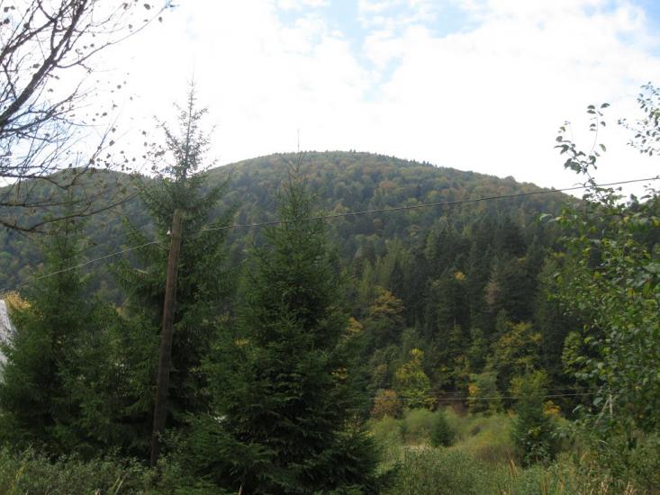 Міжгір'я з panoramio.com - Межгорье