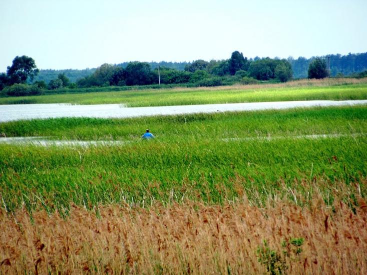 Тростянець з panoramio.com - Тростянець