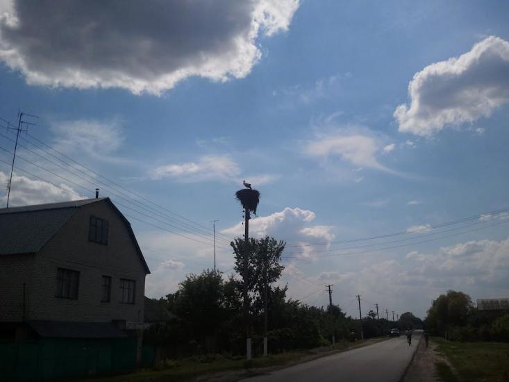 Печеніги з panoramio.com - Pechenigy