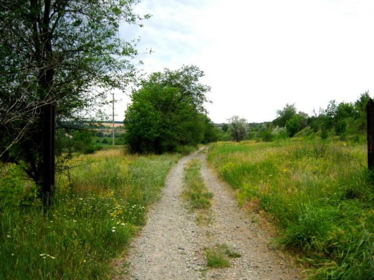 Сурсько-Клевцеве з panoramio.com - Сурсько-Клевцеве