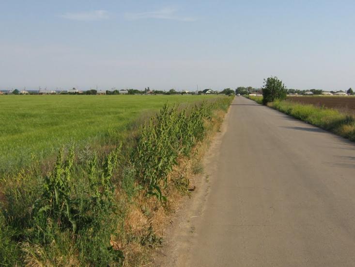 Степанівка Перша з panoramio.com - Степанівка Перша