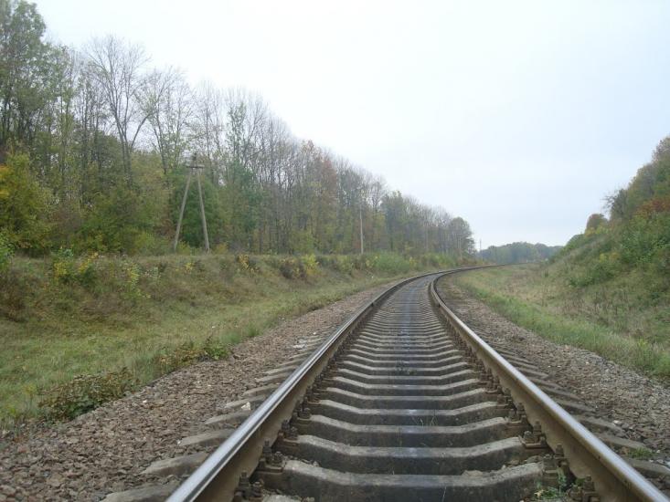 Малиничі з panoramio.com - Малиничи