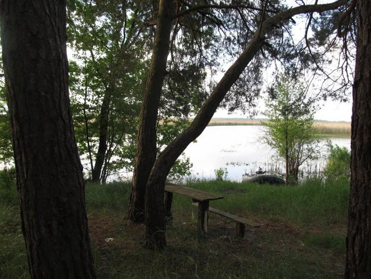 Ниговищі з panoramio.com - Ниговищі