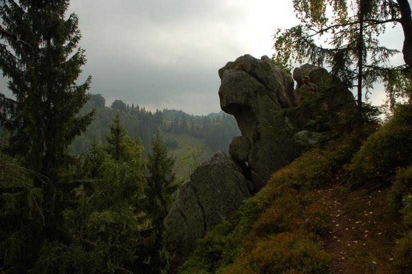 Соколівка з panoramio.com - Соколовка