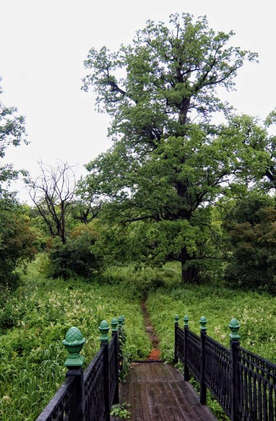 Богородичне з panoramio.com - Богородичное