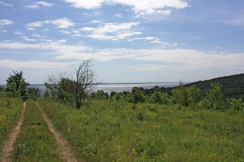 Григорівка з panoramio.com - Григоровка