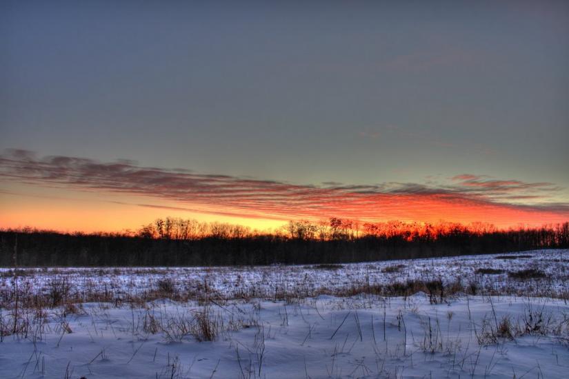 Пекарі з panoramio.com - Пекарі