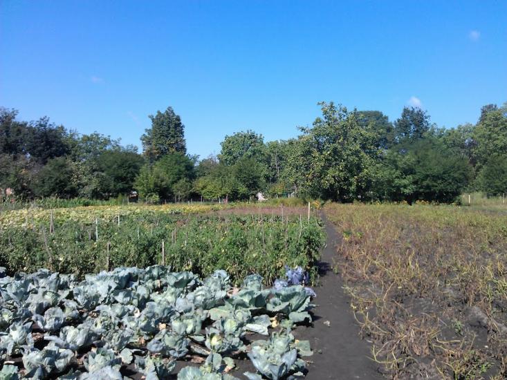 Щітки з panoramio.com - Щитки