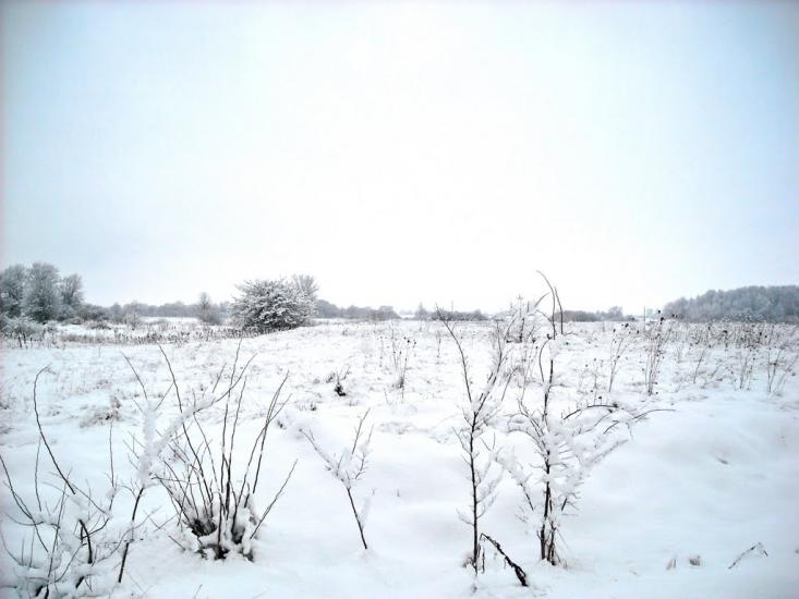 Литовеж з panoramio.com - Литовеж