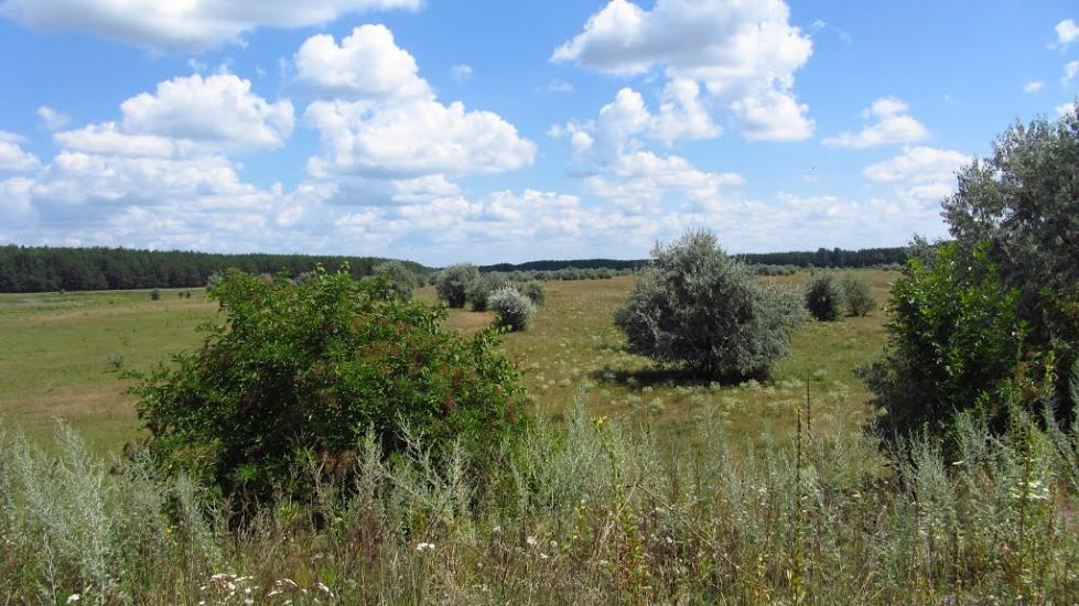 Власівка з panoramio.com - Власовка