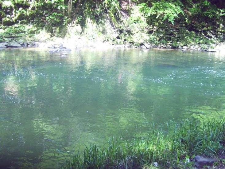 Ганьковиця з panoramio.com - Ганьковица